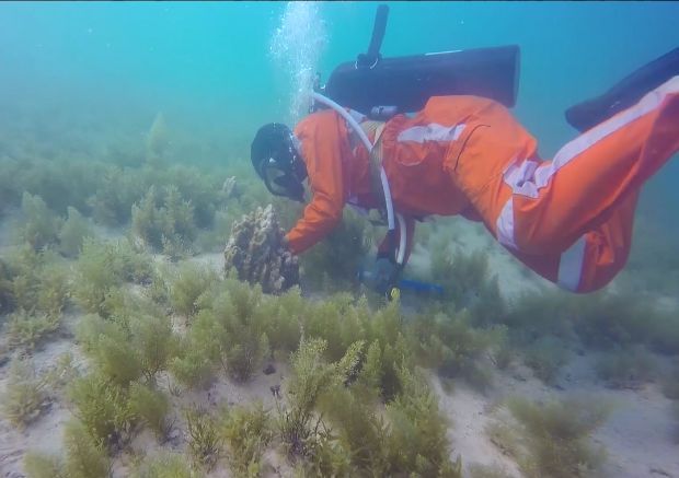 瓦力游戏| 首页 -瓦力出品,必属精品