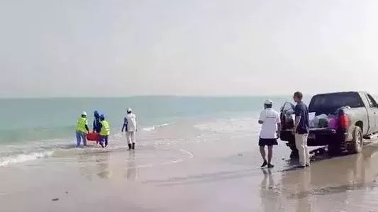 瓦力游戏| 首页 -瓦力出品,必属精品