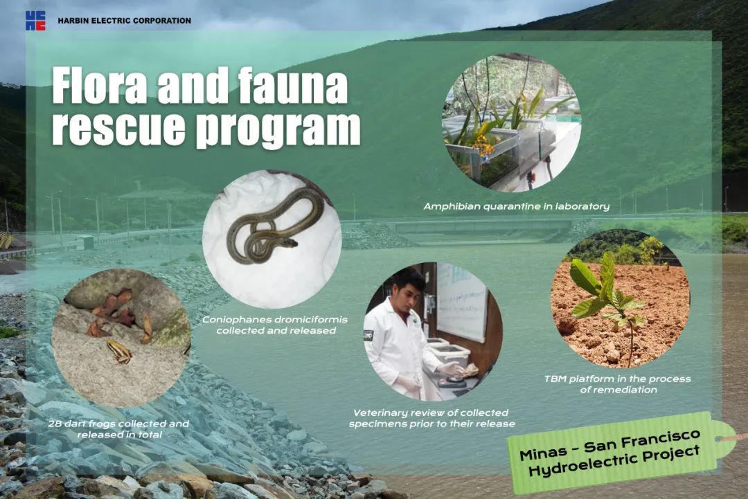 瓦力游戏| 首页 -瓦力出品,必属精品