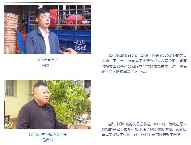 瓦力游戏| 首页 -瓦力出品,必属精品