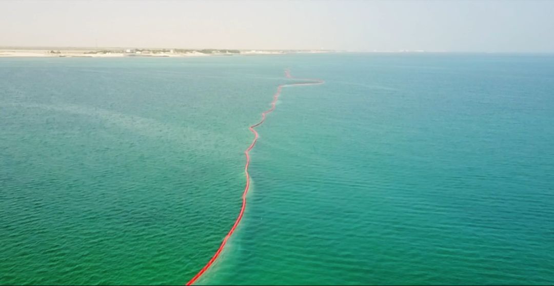 瓦力游戏| 首页 -瓦力出品,必属精品