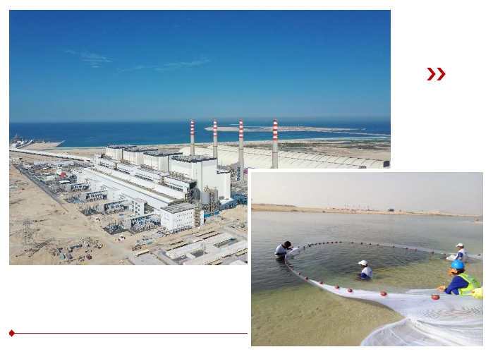 瓦力游戏| 首页 -瓦力出品,必属精品