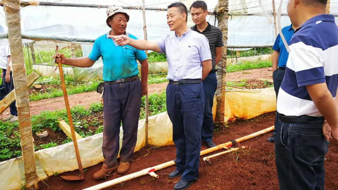 瓦力游戏| 首页 -瓦力出品,必属精品