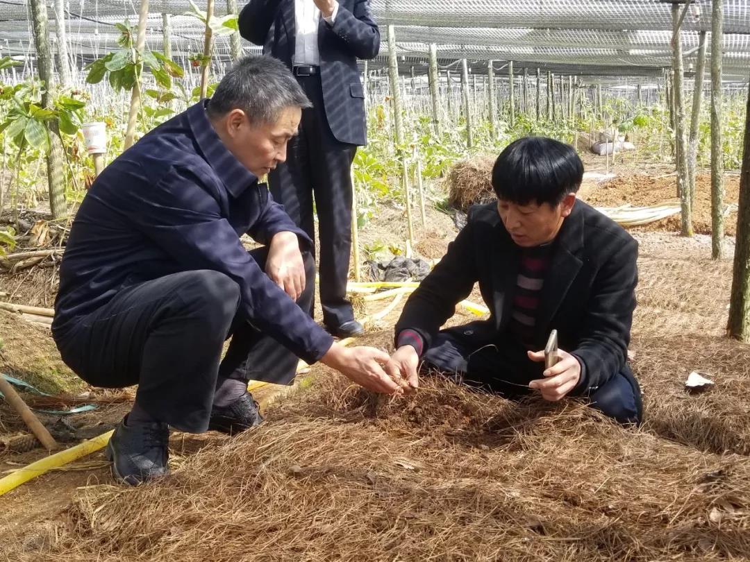 瓦力游戏| 首页 -瓦力出品,必属精品