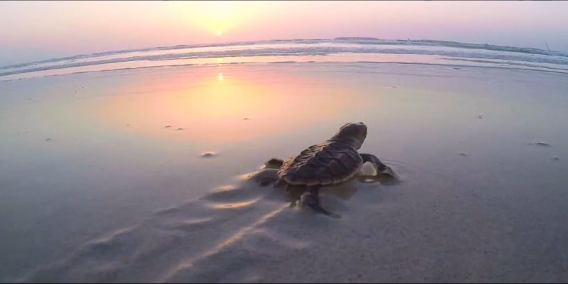 瓦力游戏| 首页 -瓦力出品,必属精品