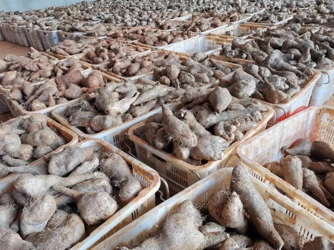 瓦力游戏| 首页 -瓦力出品,必属精品