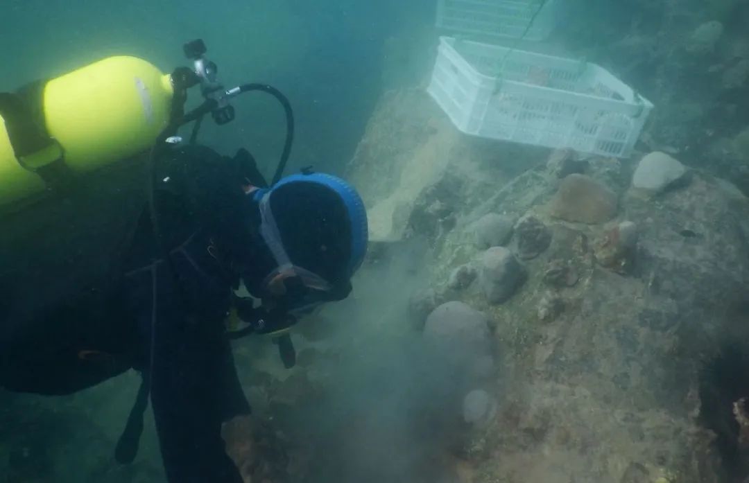 瓦力游戏| 首页 -瓦力出品,必属精品