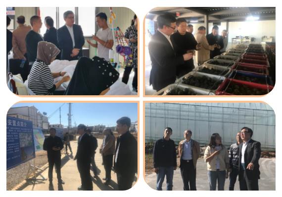 瓦力游戏| 首页 -瓦力出品,必属精品