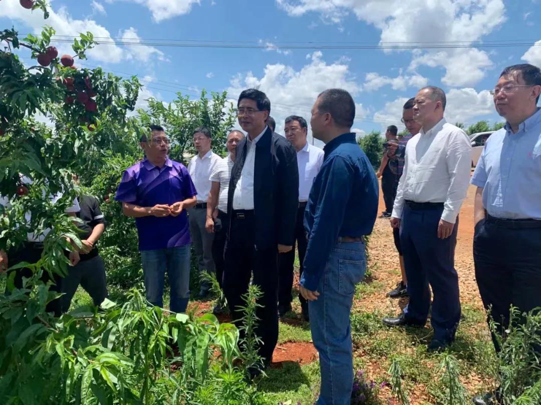 瓦力游戏| 首页 -瓦力出品,必属精品