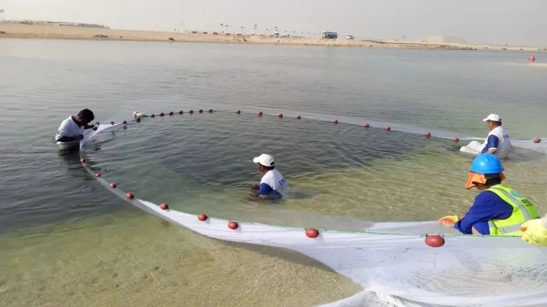 瓦力游戏| 首页 -瓦力出品,必属精品