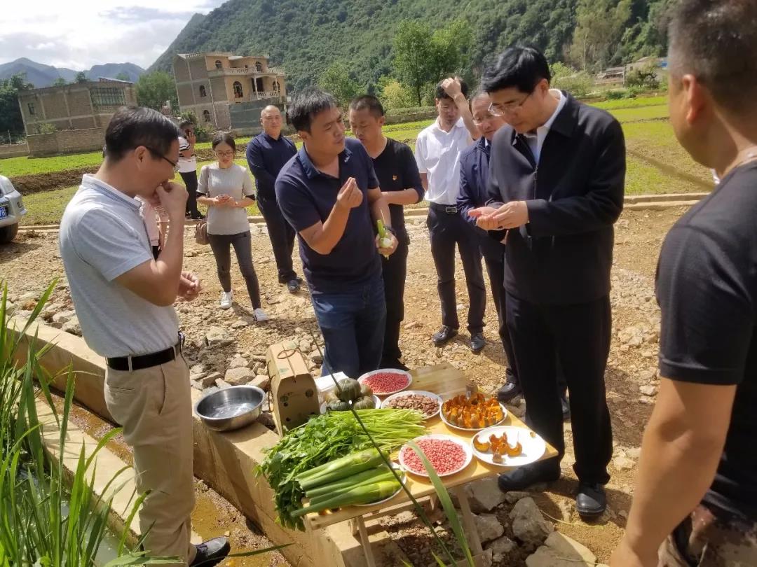 瓦力游戏| 首页 -瓦力出品,必属精品