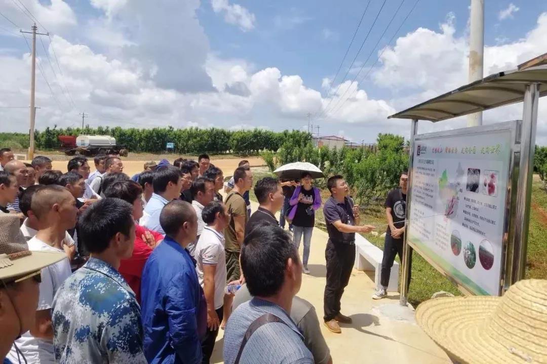 瓦力游戏| 首页 -瓦力出品,必属精品