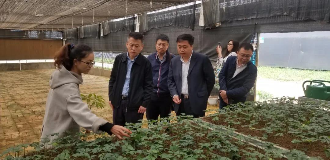 瓦力游戏| 首页 -瓦力出品,必属精品