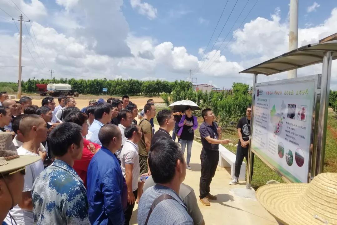 瓦力游戏| 首页 -瓦力出品,必属精品